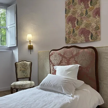 Paisible Dans Chateau Avec Jardin, Climatisation * Louchy-Montfand